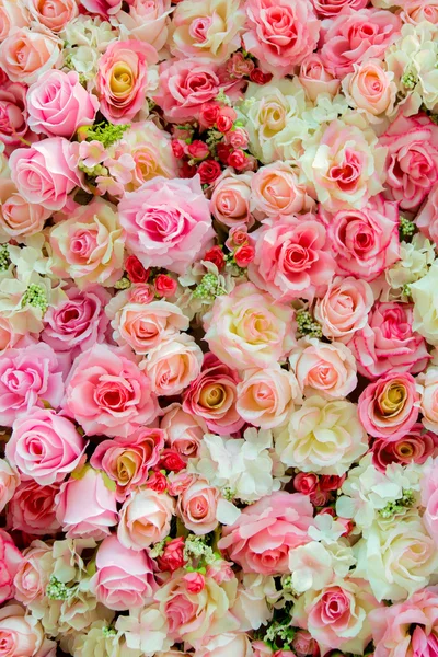 Soft color Roses Background — Stock Photo, Image