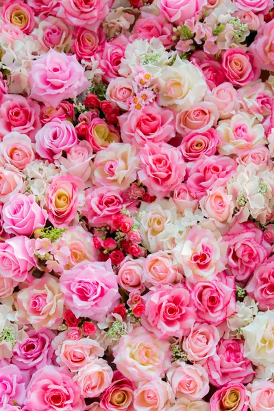 Цветные розы на фоне Стоковое Изображение