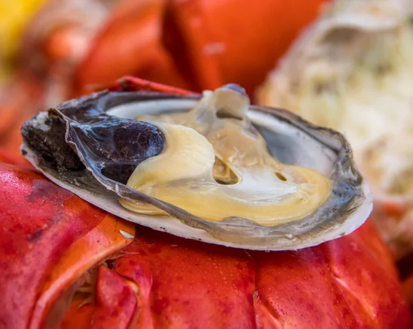 Steamed clams and lobsters ready for serving at a clambake
