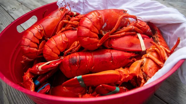 Lobsters ready for serving at a clambake