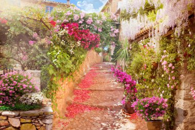 Bahçedeki çiçekler