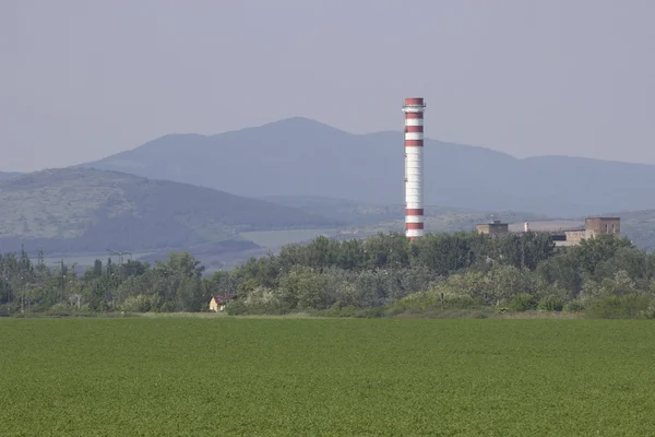 Смокінг в селі Стокова Картинка