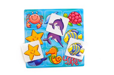 Loto oyun kartları ve çocuklar için bir oyun en iyi görünümü, beyaz bir arka plan üzerinde izole. Deniz yaratıkları, resimlerini seçimi bir eğitim el kitabı oynamak veya öğretmek