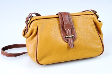 Sarı çanta