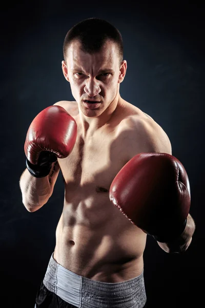 Muscular kickbox ou muay thai lutador olhando para a câmera . — Fotografia de Stock