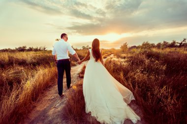 Yeni evli çift Holding yürüyüş kırsal kesimde eller