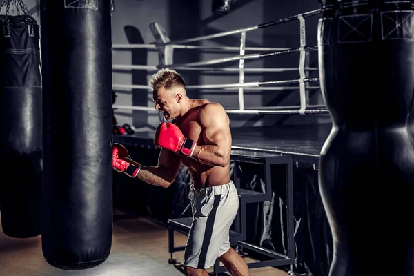 Boxer trénink na boxovací pytel v tělocvičně — Stock fotografie