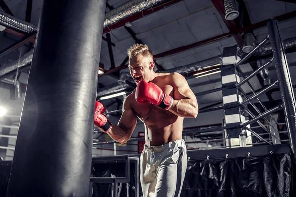 Boxer trénink na boxovací pytel v tělocvičně — Stock fotografie
