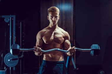 Sportif yong adam pazılar için ağır ağırlık egzersizi yapıyor.