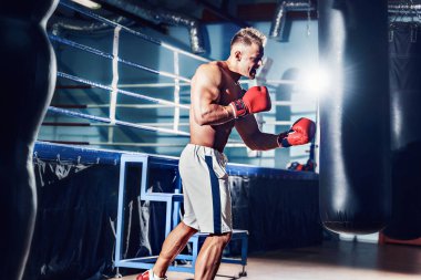 Koyu renk spor salonunda boksör eğitimi..