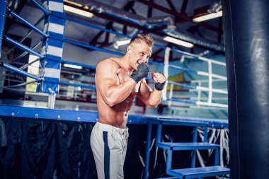 Koyu renk spor salonunda boksör eğitimi..