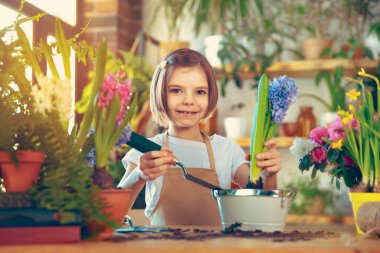 Bahar çiçekleri eken çocuk. Küçük kız bahçıvan sümbül yetiştirir. Çiçek saksısında sümbül tutan kız. Bitkilerle ilgilenen çocuk. Bahçe aletleri. Boşluğu kopyala