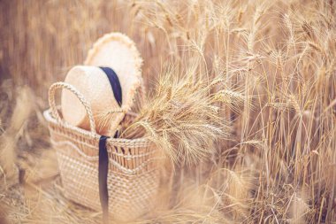 Büyük sepet kuru çimenler sarı doğal bulanık arka planda panikler. 