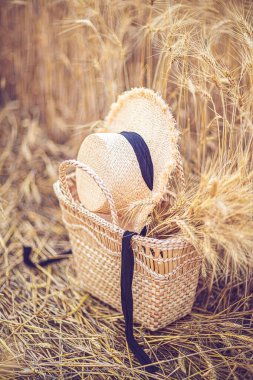 Büyük sepet kuru çimenler sarı doğal bulanık arka planda panikler. 