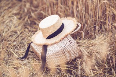 Büyük sepet kuru çimenler sarı doğal bulanık arka planda panikler. 