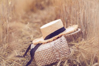 Büyük sepet kuru çimenler sarı doğal bulanık arka planda panikler. 