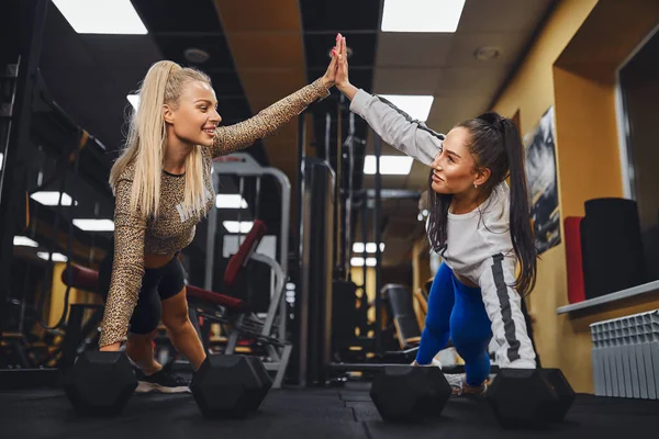Sportliche Frauen geben einander High Five, während sie gemeinsam im Fitnessstudio trainieren. — Stockfoto
