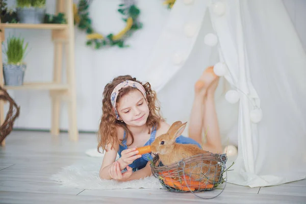 Маленька мила дівчинка годує моркву пухнастим кроликом для домашніх тварин, догляд і життя — стокове фото