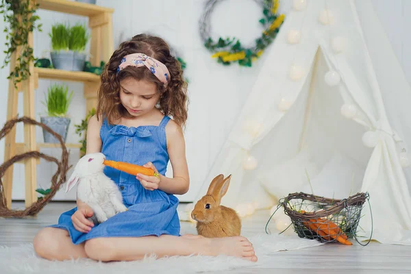 Little cute girl feeds carrots fluffy pet rabbit, care and livin — Stock Photo, Image