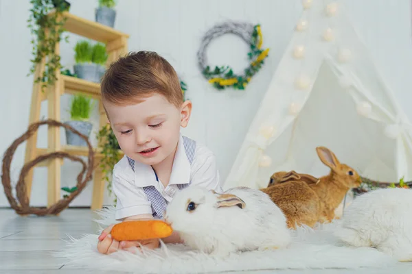 Щасливий смішний маленький хлопчик грає з кроликом, годуючи його — стокове фото