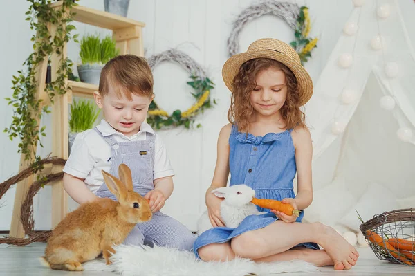 Happy laughing little girl and boy playing with a baby rabbit, f — Stock Photo, Image