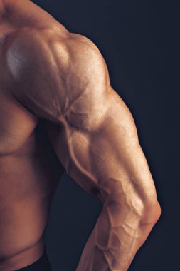 Fitness adamı arka plan omuz kasları göğüs kasları arka planda vücut geliştirici beden eğitimi derslerinin fiziksel formunu gösteriyor.
