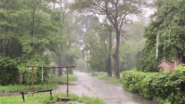 Starkregen im Sommer in der Stadt, grüne Bäume, Straßen. 4K-Video 60 fps — Stockvideo