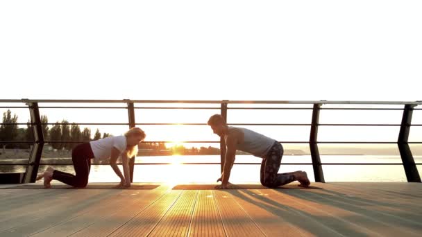 Pareja haciendo bakasana posición y practicando yoga juntos en la naturaleza al aire libre — Vídeos de Stock