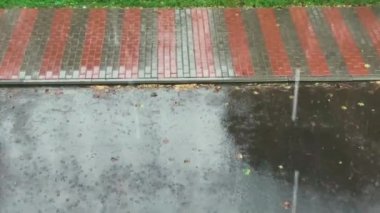 Sağanak yağmurda granit bloklardan Paved yolu. Su damlaları kaldırımdaki su birikintilerine dökülüyor.
