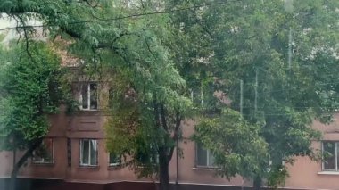 Dışarıda sağanak yağmur yağıyor, evin penceresinden manzara. Yeşil yapraklı bir ağaç, yağmurlu havada üzerine su damlaları düşen.