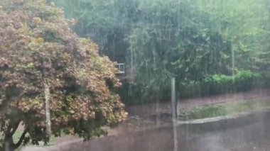 Dışarıda sağanak yağmur yağıyor, evin penceresinden manzara. Yeşil yapraklı bir ağaç, yağmurlu havada üzerine su damlaları düşen.