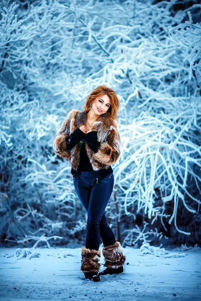 Menina de inverno em casaco de pele de luxo — Fotografia de Stock