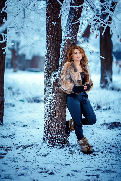 Chica de invierno en abrigo de piel de lujo — Foto de Stock