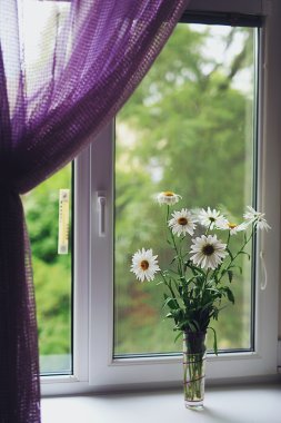 Güzel buket papatya çiçek penceresinde