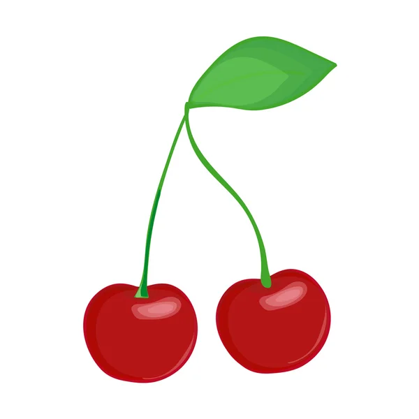 Cherry on white background. Hand drawn berries. Vector illustration. — Stockvector