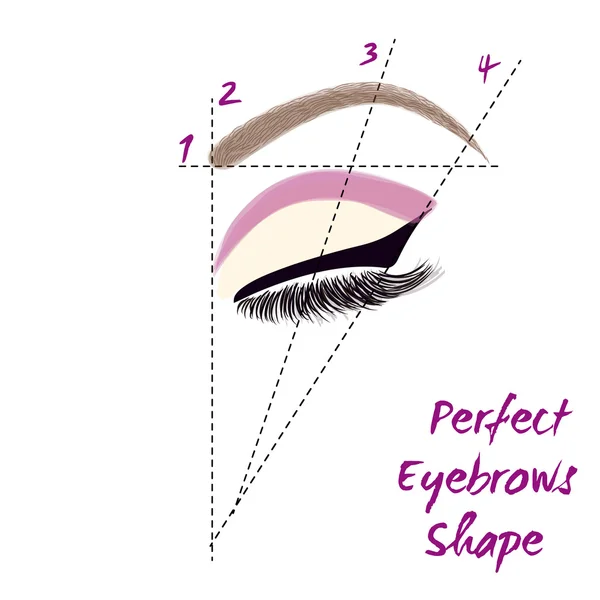 Perfekt ögonbrynsform. Hur man skapar Perfect Eyebrow. Vektor illustration. — Stock vektor