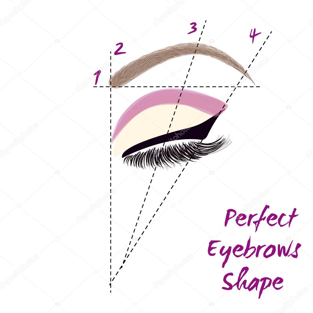 Eyebrow Shape Chart