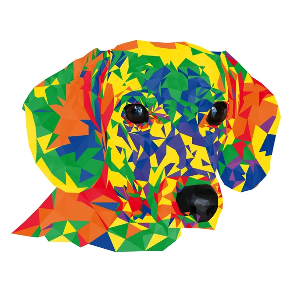 Düşük çokgen köpek. Vektör çizim.