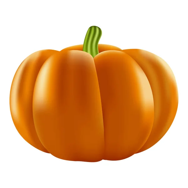 Vector realistic pumpkin isolated on white background — Stock Vector