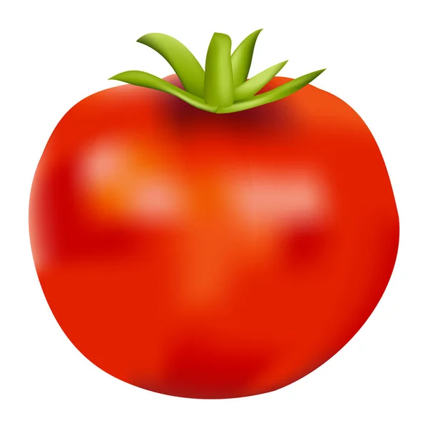 Un tomate realista rojo aislado vegetal brillante — Vector de stock