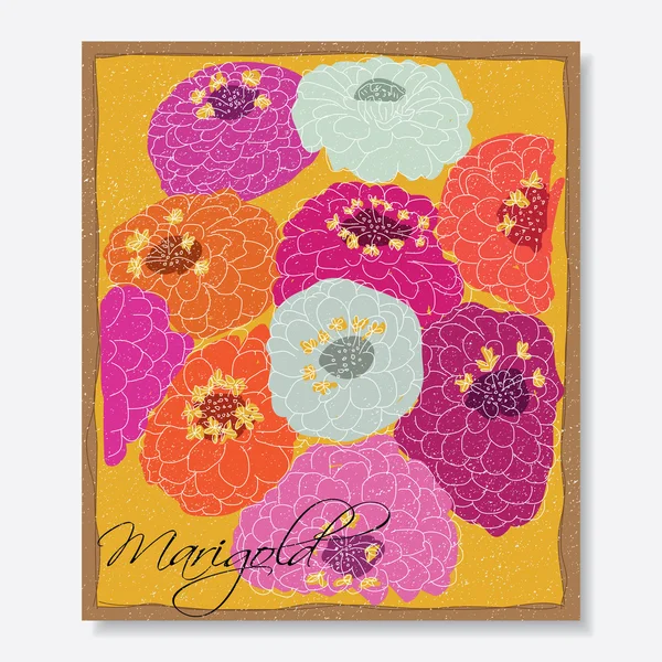 Marigolds çiçekler — Stok Vektör