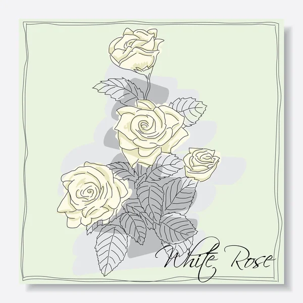 Flor de rosa — Vector de stock