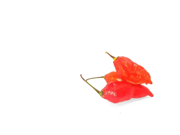 Bhut Jolokia Ghost Pepper Isolated White Background Ghost Pepper Page — Stock Photo, Image