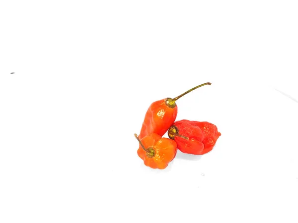 Bhut Jolokia Ghost Pepper Isolated White Background Ghost Pepper Page — Stock Photo, Image