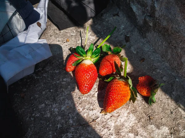 Röda Mogna Jordgubbar Bakgrund Närbild Top View Background Från Nyskördade — Stockfoto