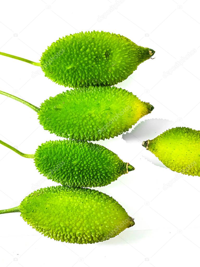 Spiny gourd or spine gourd also known as bristly balsma pear, prickly carolaho isolated on white background.