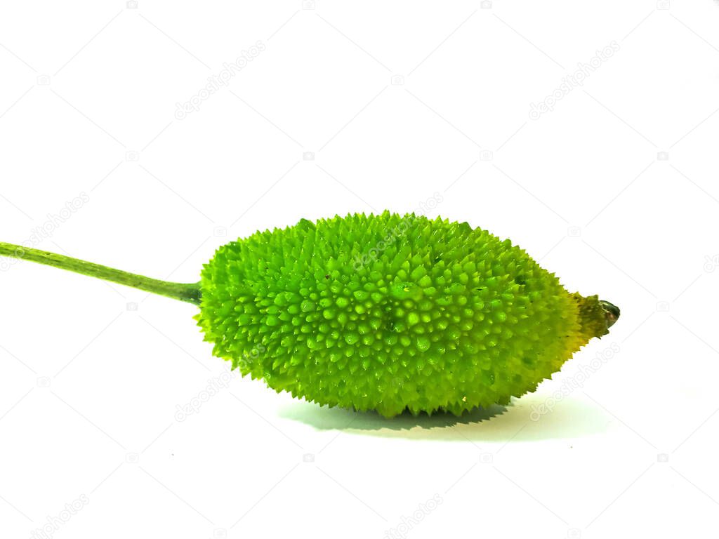 Spiny gourd or spine gourd also known as bristly balsma pear, prickly carolaho isolated on white background.