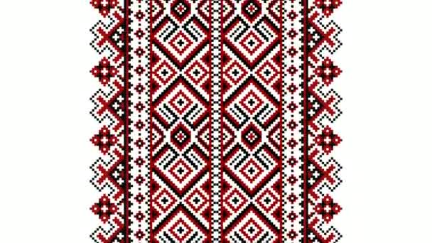 Tribal Pattern Assamese Pattern Northeast India Which Used Textile Design — Stock Video