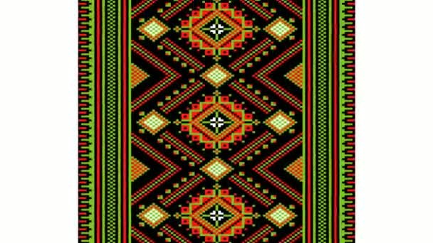 Tribal Pattern Assamese Pattern Northeast India Which Used Textile Design — Stock Video