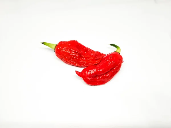 Bhut Jolokia Szellem Paprika Elszigetelt Fehér Alapon Friss Karolinai Kaszás — Stock Fotó